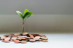 Financial Guide