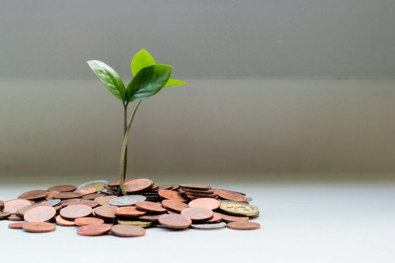 Financial Guide